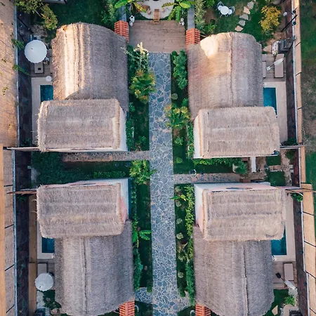 Θέρετρο Feronia Masukiye