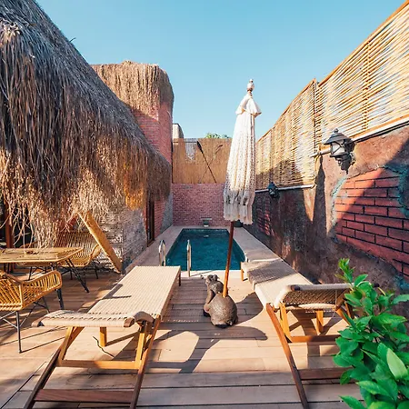 Feronia Θέρετρο